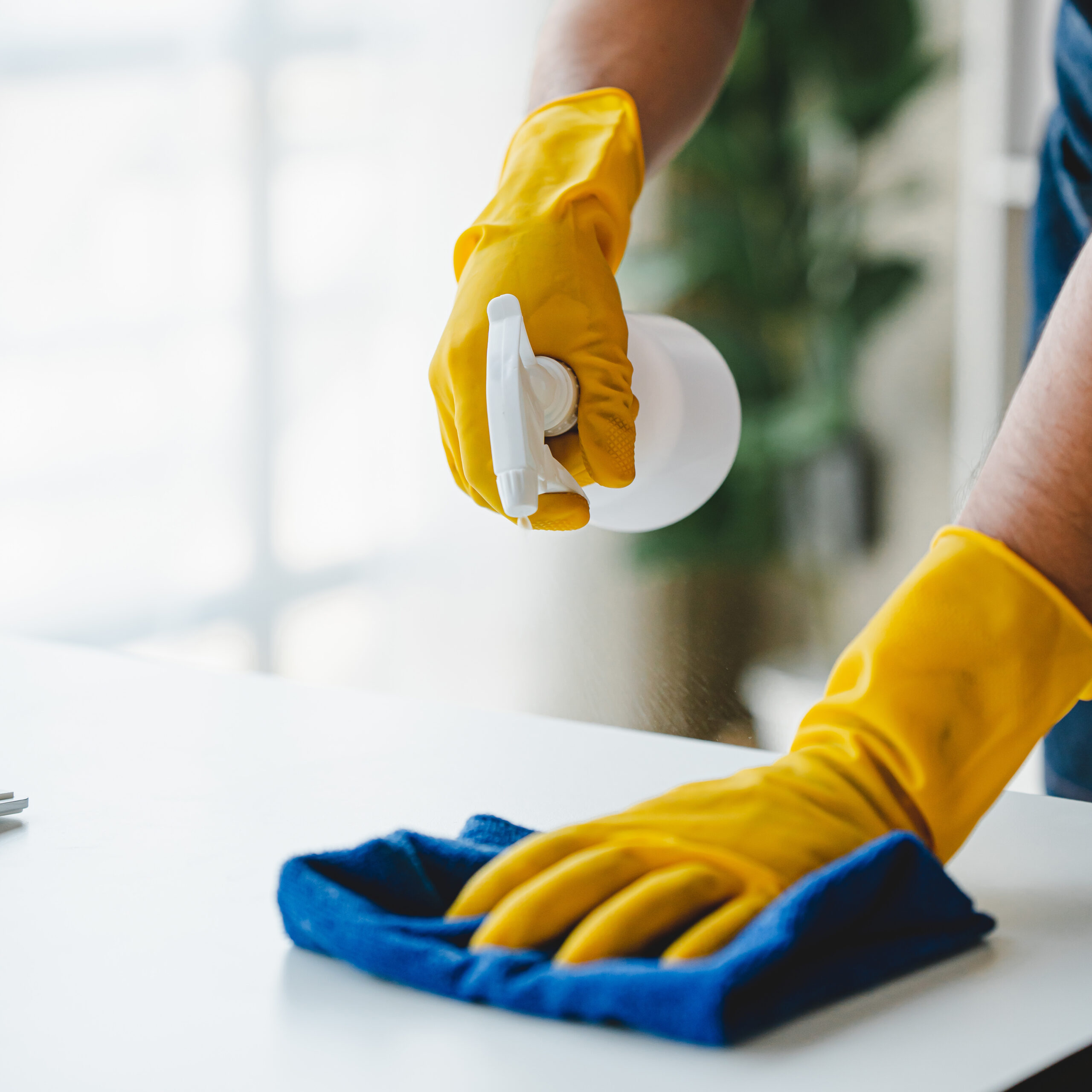 Cleaning furniture